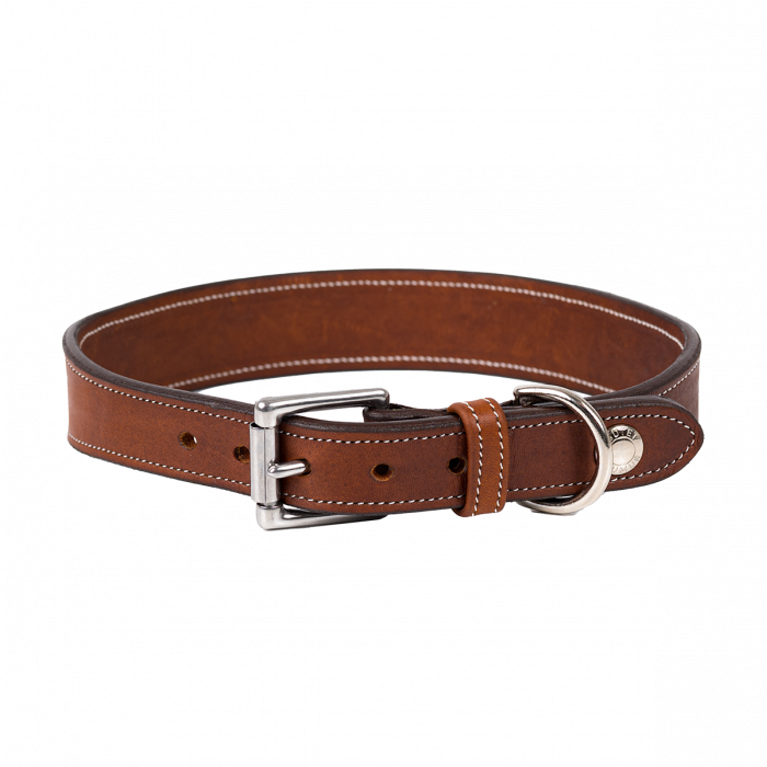 Le collier pour chien en cuir
