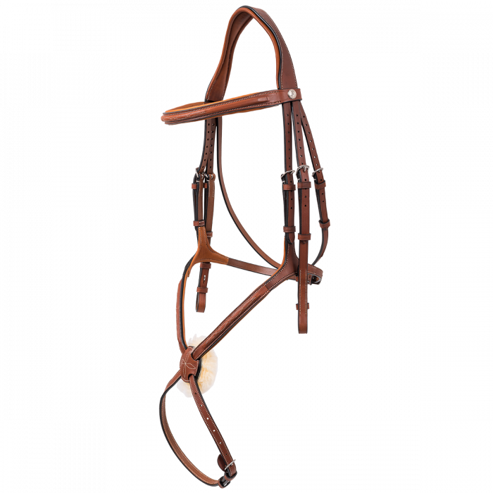 Raised figure 8 sports noseband bridle