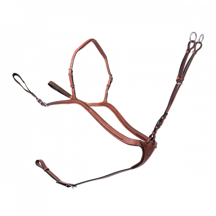 Le Collier de chasse à pont + martingale sport à anneaux