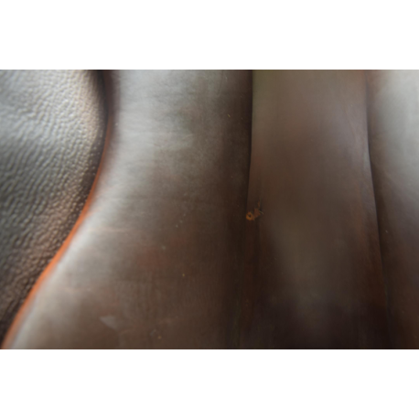 Selle Butet siège plat 17